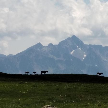 Hotel Cielo Blu Passo del Tonale Dış mekan fotoğraf