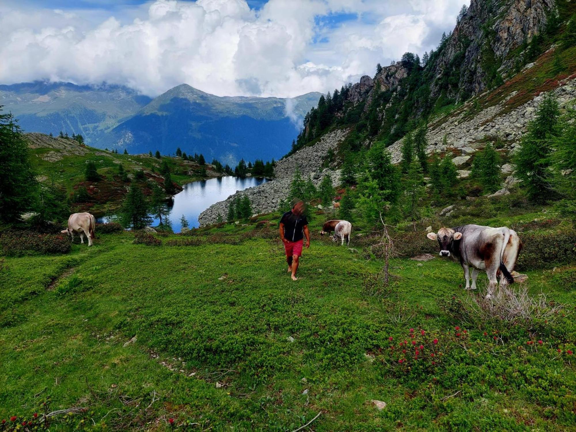 Hotel Cielo Blu Passo del Tonale Dış mekan fotoğraf